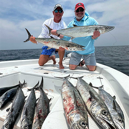 America Bedding Direct 3607